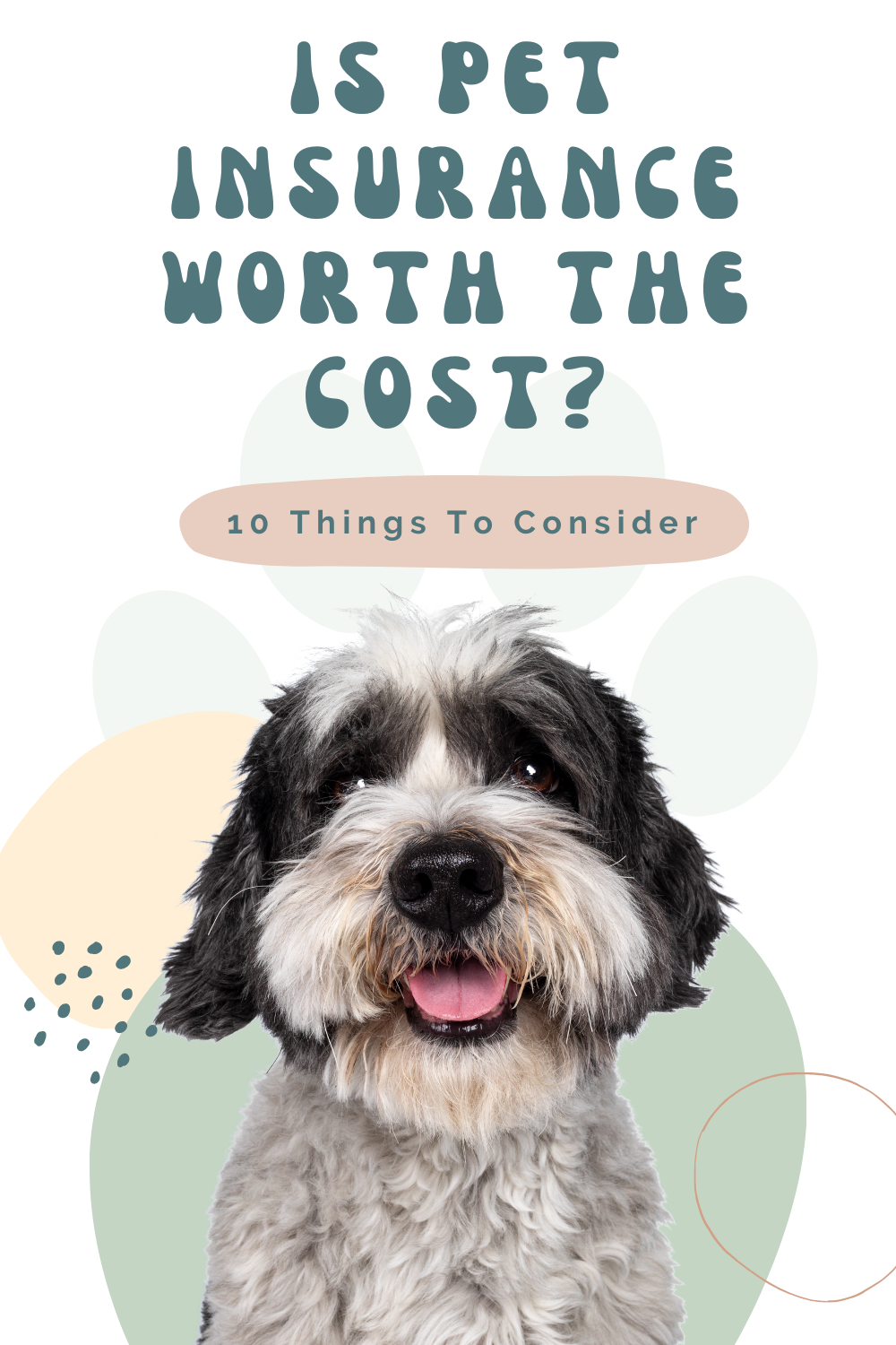 Is Pet Insurance Worth The Cost