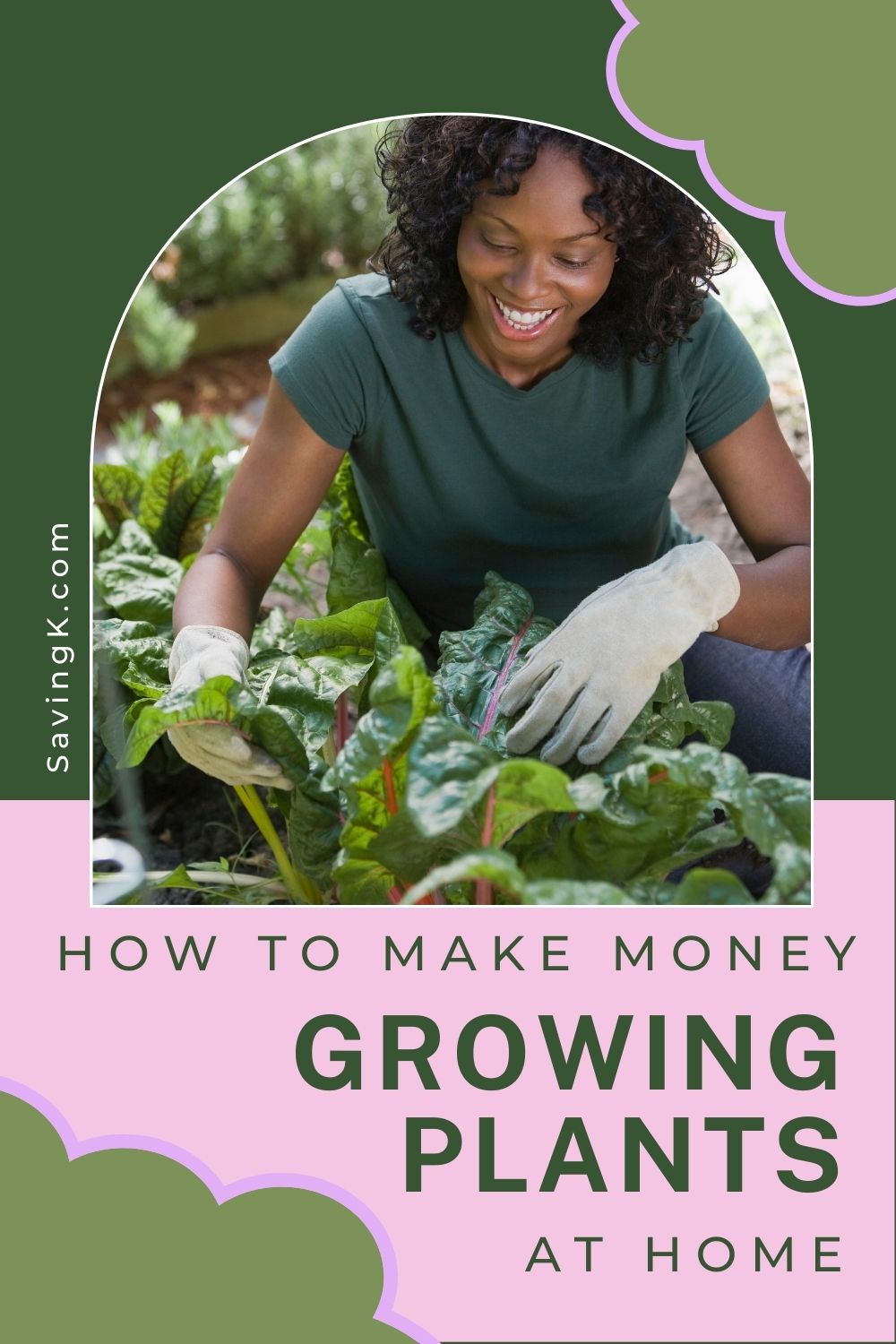 How To Make Money Growing Plants At Home