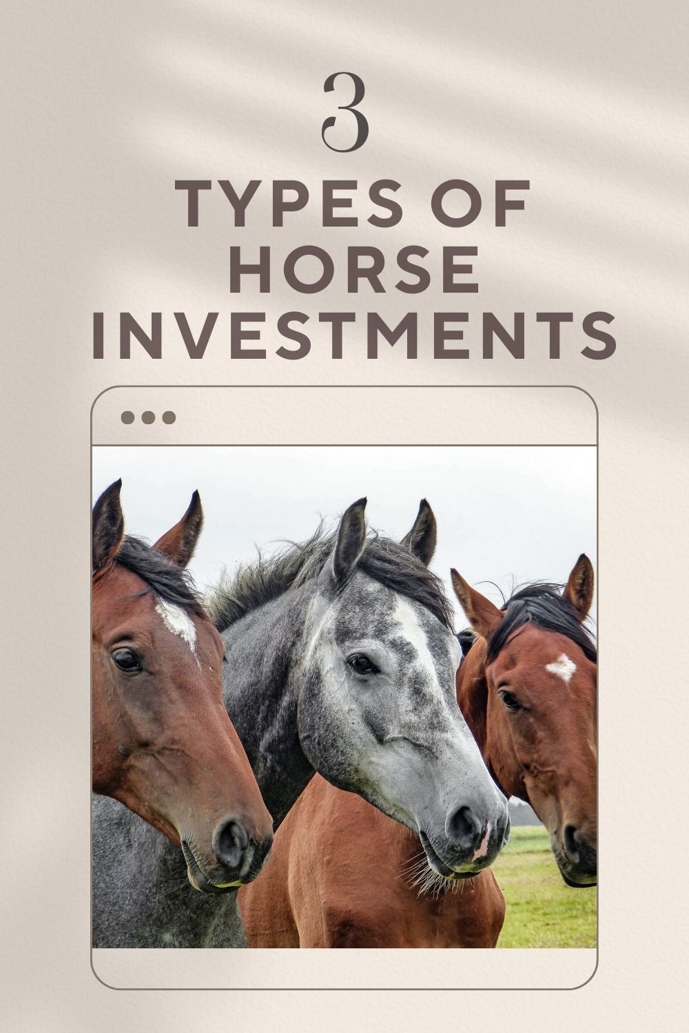 Types of Horse Investments