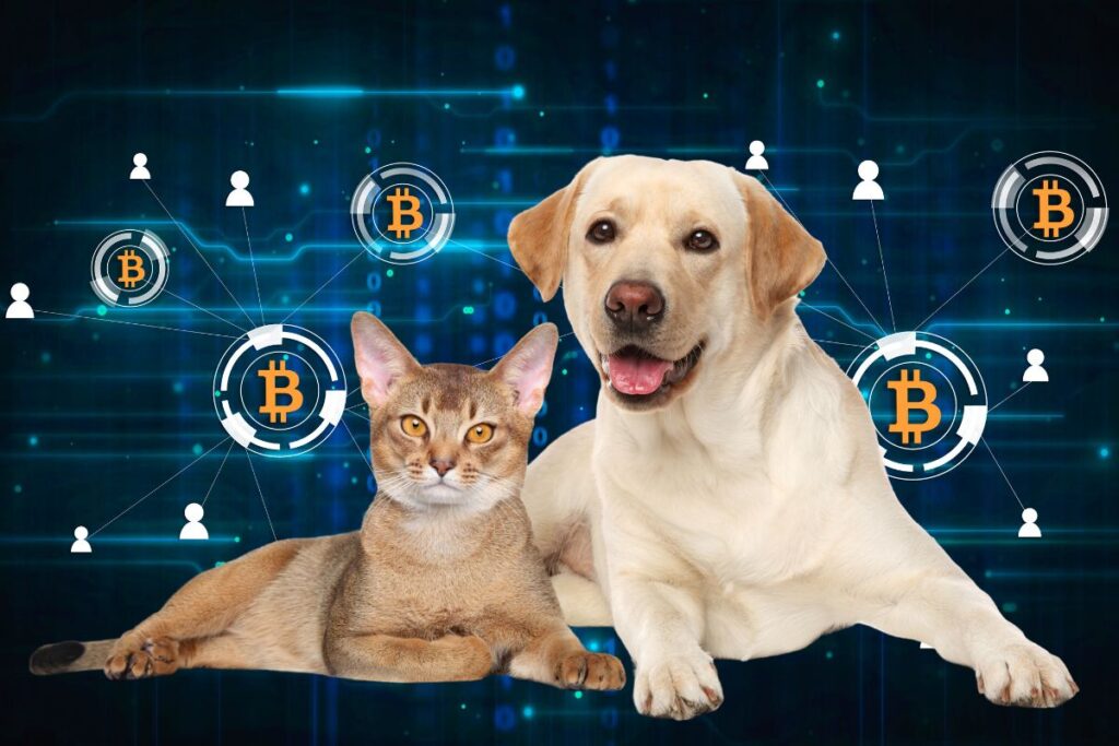Cats, Dogs, And Bitcoin Are The Cryptocurrencies That Cause Attraction