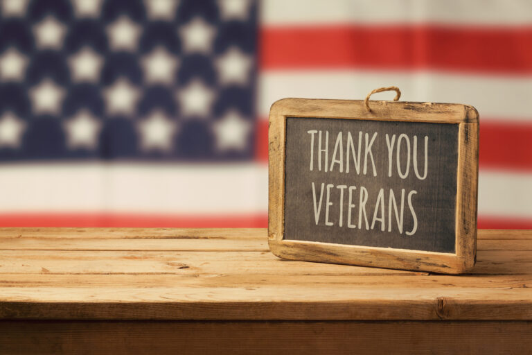 Veterans day holiday sales