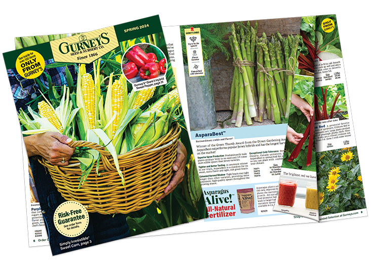 Free Gurney's Seed & Nursery Catalog (garden seeds)