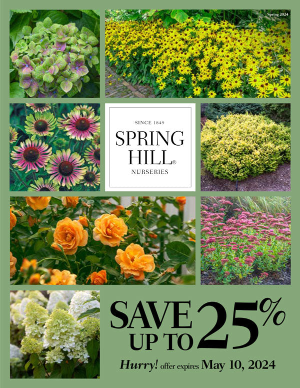 Free Springhill Garden Catalog