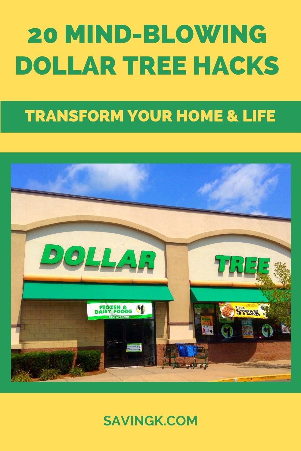 20 Mind-Blowing Dollar Tree Hacks