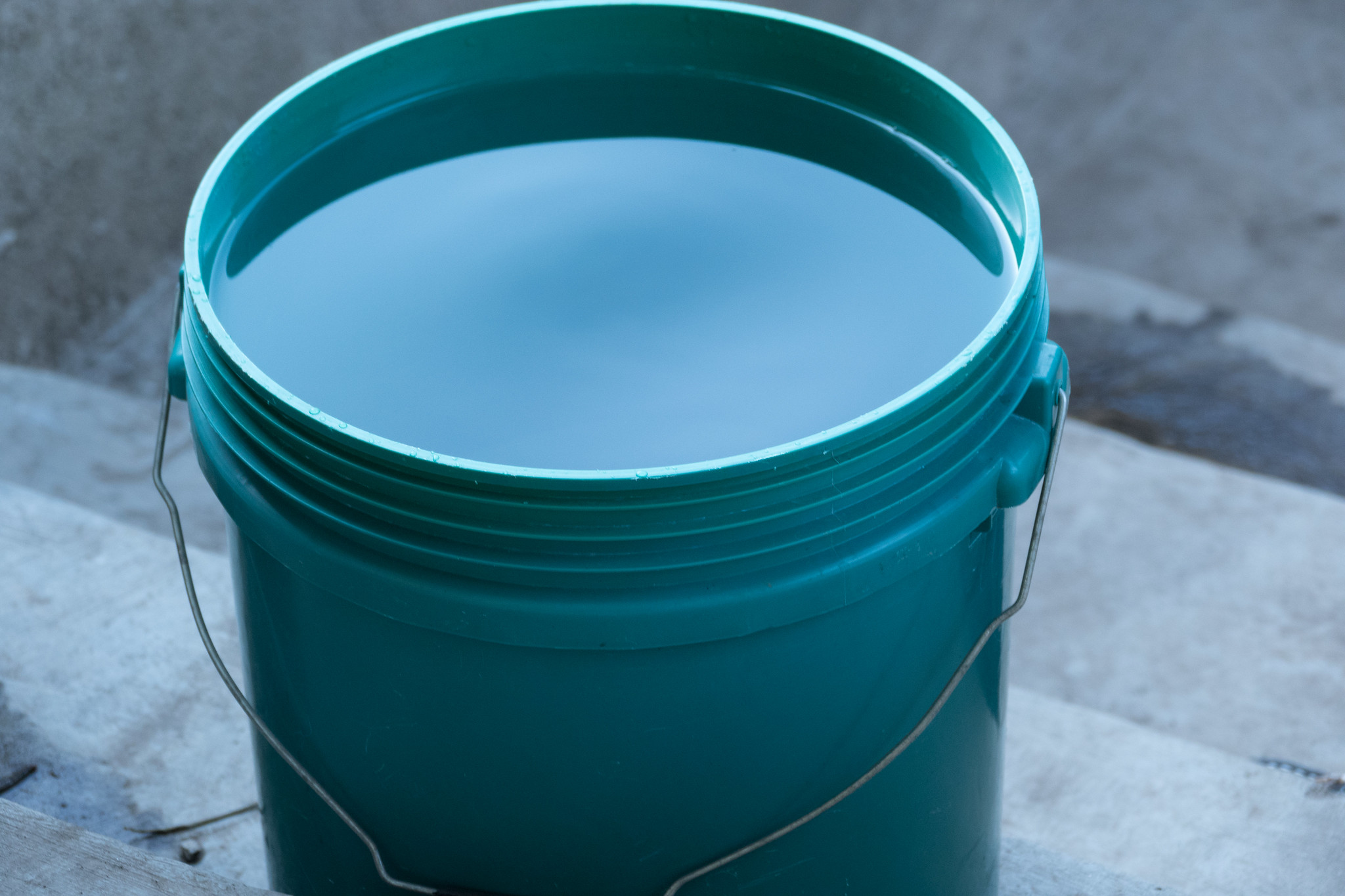 rainwater collected in green bucket