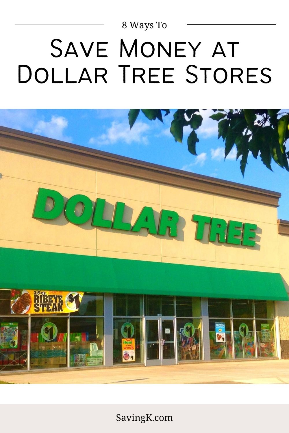 Ways to Save Money at Dollar Tree Stores