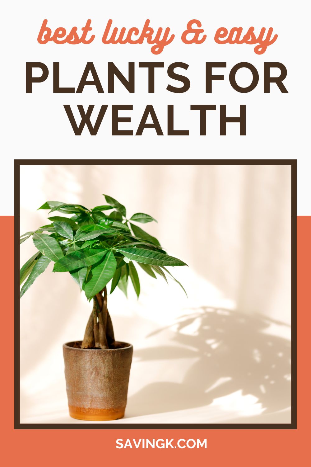 A Money Tree in a ceramic pot, symbolizing wealth and prosperity, with soft lighting and a warm-toned background.