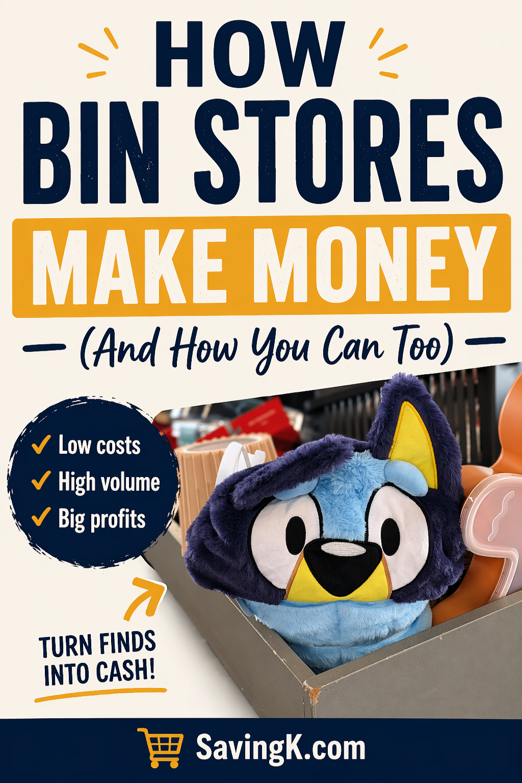 Pinterest graphic showing bin store items and tips on how bin stores make money and how to profit from liquidation