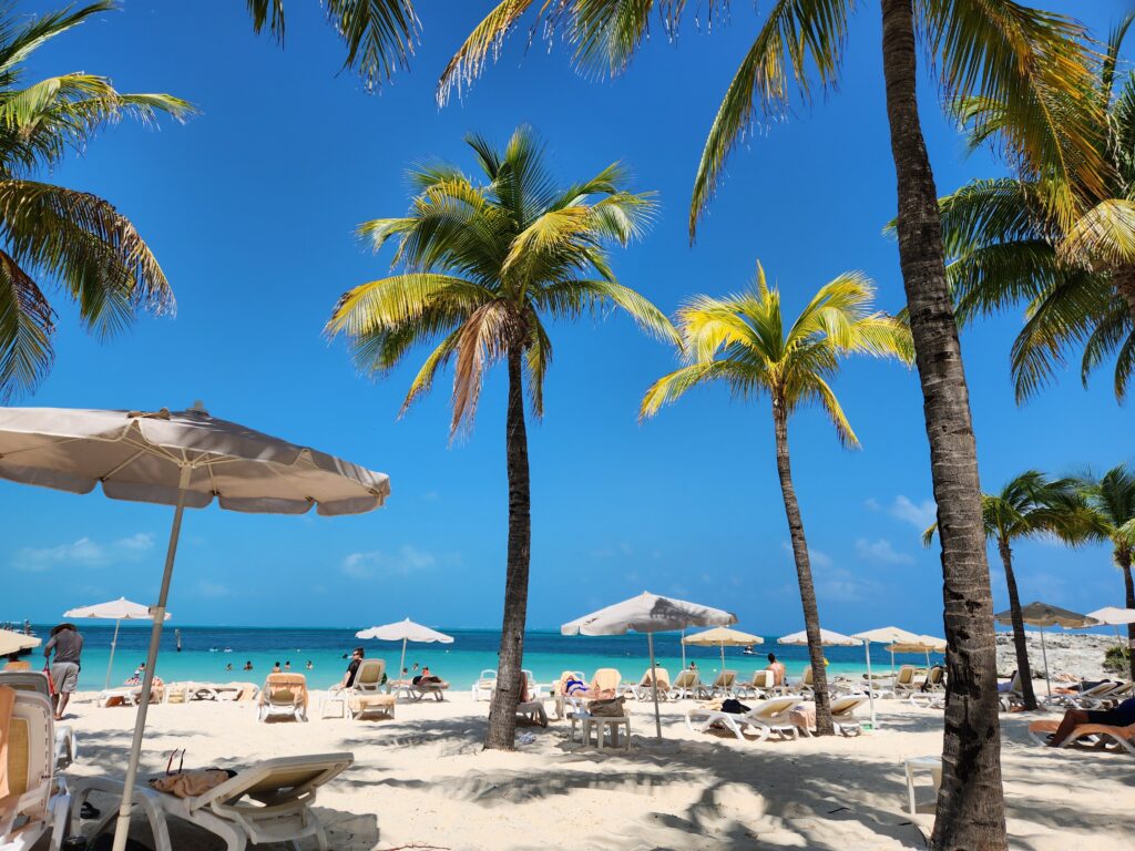 A sunny tropical beach with tall palm trees, beach umbrellas, and lounge chairs facing a clear turquoise ocean.
