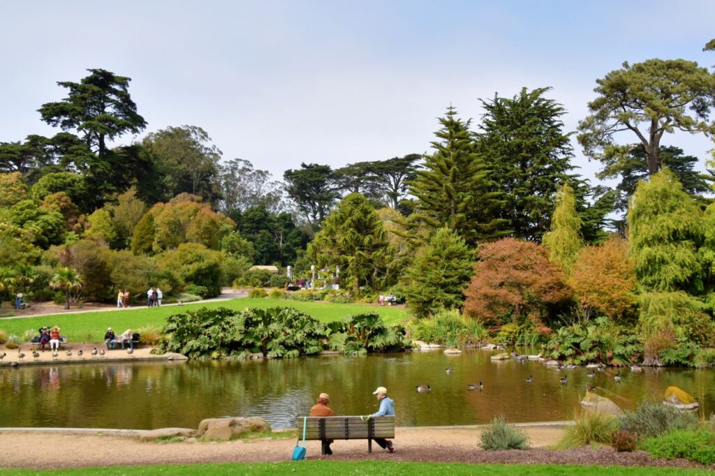 Two visitors sit on a bench watching geese on a pond in Golden Gate Park, San Francisco, surrounded by trees, illustrating a free public space that offsets the cost of living in an expensive city.